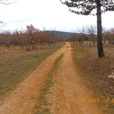 Circuit de la plaine des berges pourrieres 25