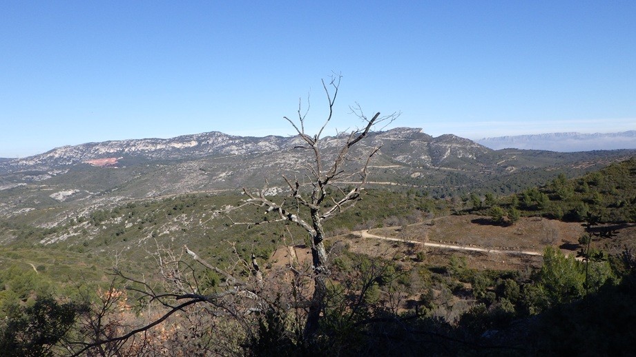 Bienvenido a Pasión Excursiones Descubrimientos -  Grandes Espacios Abiertos