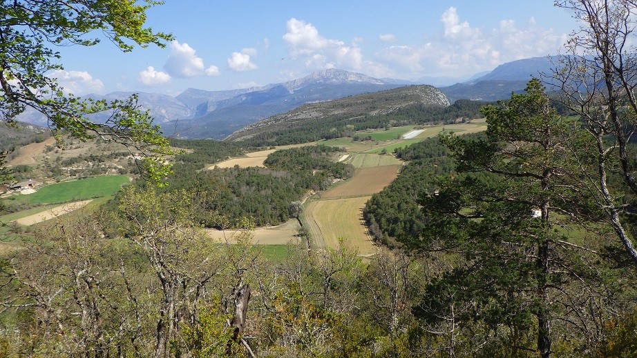 Bienvenido a Pasión Excursiones Descubrimientos -  Grandes Espacios Abiertos