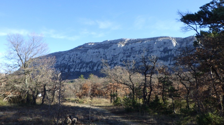 Bienvenido a Pasión Excursiones Descubrimientos -  Grandes Espacios Abiertos